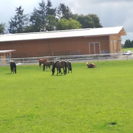 Lägenhet Farm Vacation With Wellness And Horses