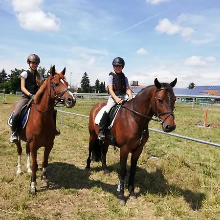 Farm Vacation With Wellness And Horses Lägenhet Laberweinting