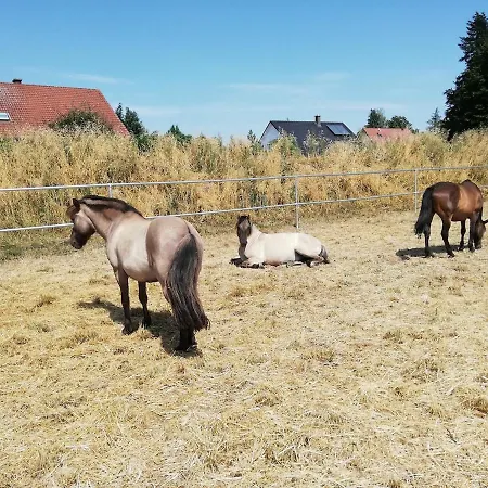 Lägenhet Farm Vacation With Wellness And Horses
